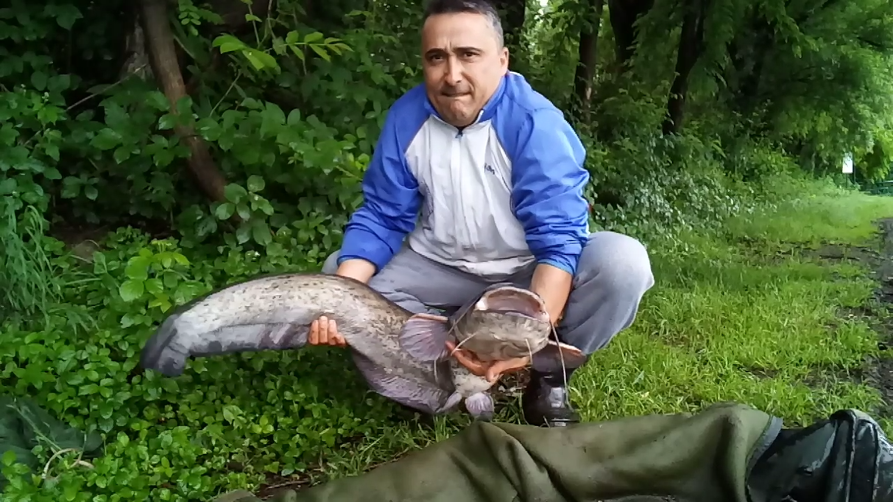 ISOLA DEL PESCATORE 28 - 29 mai 2018 - screenshot2018-05-29-09-20-23.png